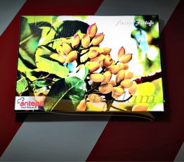 Tekstil Light box Işıklı tablo