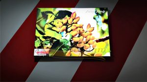 Tekstil Light box Işıklı tablo