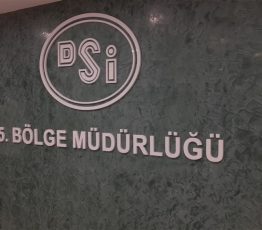 Pleksi Ankara